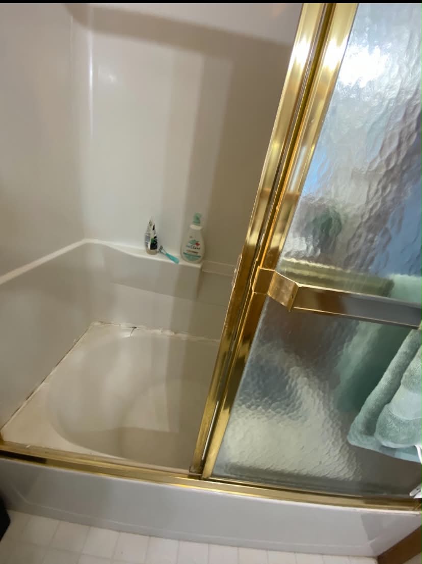 Clean Bathtub and Gold Glass Enclosure