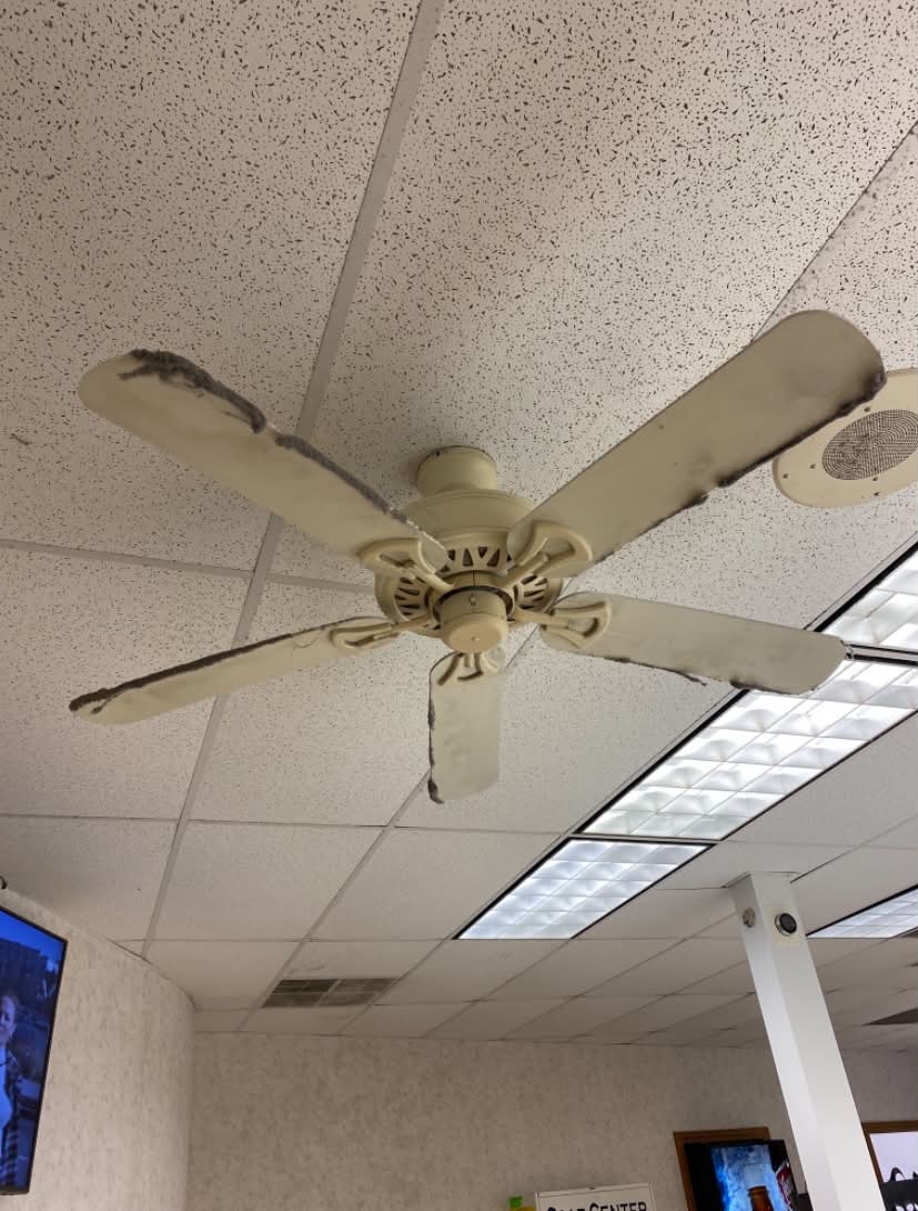 Ceiling Fan Before Dusting