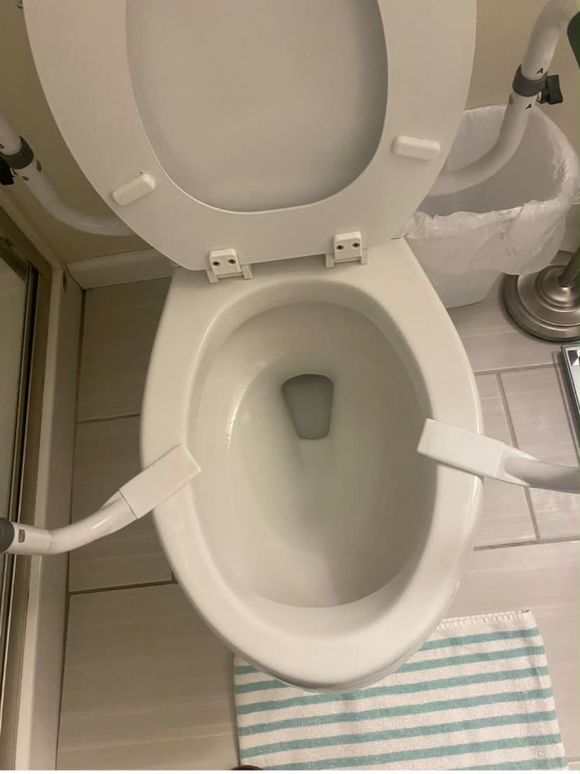 Toilet Bowl After Deep Clean