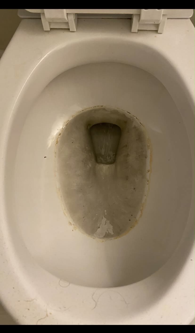 Toilet Bowl Before Deep Clean